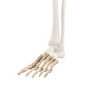 Notre zone d'activité pour ce service Chirurgien orthopédiste