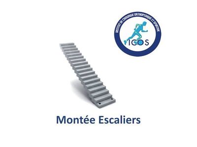 Nos prestations sur le secteur de Ajaccio Corse