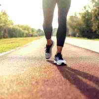 Nos prestations sur le secteur de Ajaccio Corse