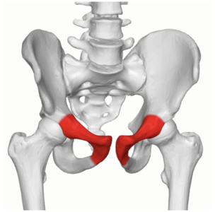 Nos prestations sur le secteur de Ajaccio Corse