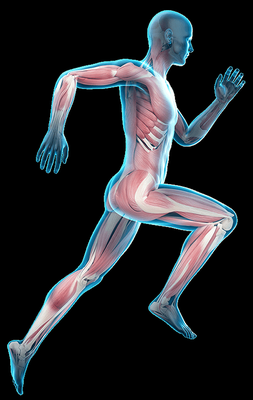 Nos prestations sur le secteur de Manosque 04