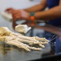 Notre zone d'activité pour ce service Médecin pour procédé PRP Plasma Riche en Plaquettes